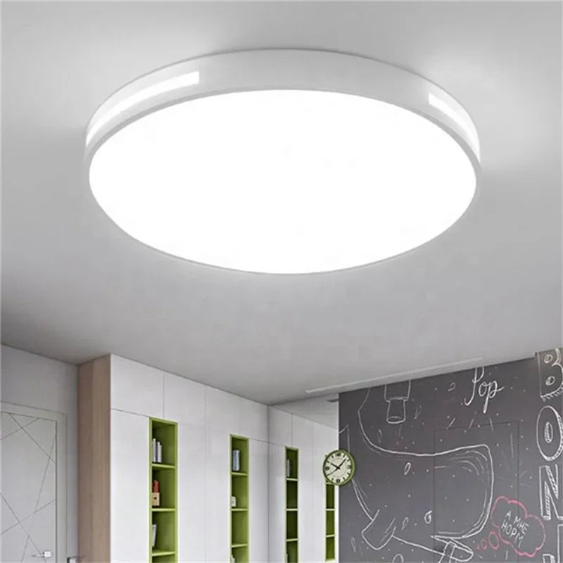 DecorBites™ Ceiling Aluminium Lights for Hotels Home Goods Lamps